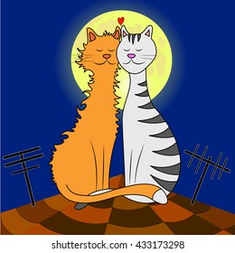 cats on the roof