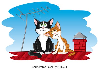 Cats on the roof