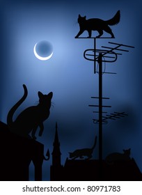 cats on the roofs in the night sky