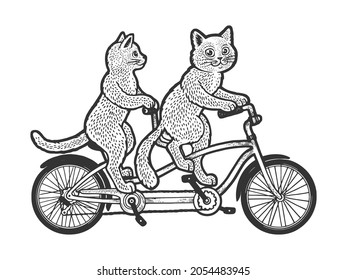 cats on tandem twin bicycle sketch engraving vector illustration. T-shirt apparel print design. Scratch board imitation. Black and white hand drawn image.