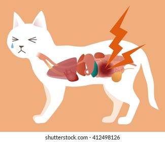 cat's organ and intestine disease, vector illustration