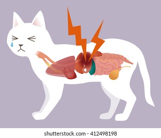 cat's organ and stomachache, vector illustration