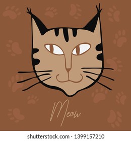Cats outline head vector illustration hand drawing