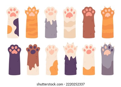Cats palms. Cat paws with claws, cartoon pets paws-up cute furry kittens hands, drawing kitty hunter paw design leg or funny animal hands-up concept, garish vector illustration of palm paw animal