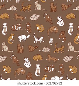 cats pattern