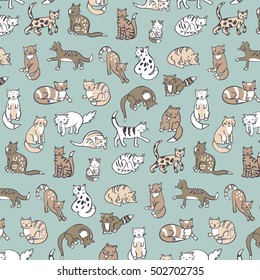 cats pattern