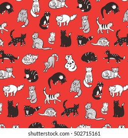 cats pattern