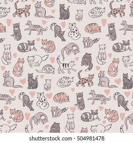 cats pattern