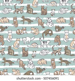 cats pattern