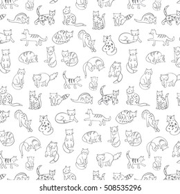 cats pattern