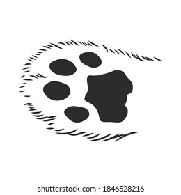 cat's paw with the pads pulled up sketch vector graphics black and white drawing, cat's paw vector sketch illustration