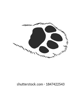 cat's paw with the pads pulled up sketch vector graphics black and white drawing, cat's paw vector sketch illustration