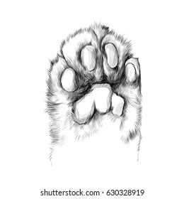 cat's paw with the pads pulled up sketch vector graphics black and white drawing