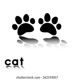 cat's paw prints