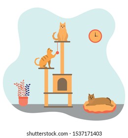 cats in pet hotel isolated vector illustration