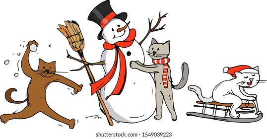 cats play in the snow
