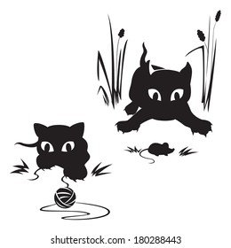 cats playing
