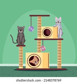 cats playing in cat house cartoon