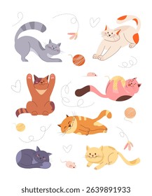 Cats playing with toys and ball of yarn, sleeping, stretching, sitting, lying, relaxing. Cute purebred kittens in different poses. Pet animals funny set isolated on white background