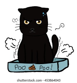 Cat's poo