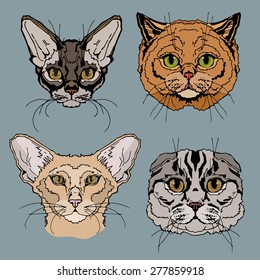 Cats portrait design set for postcards, illustration, posters, labels, stickers and other design needs. 