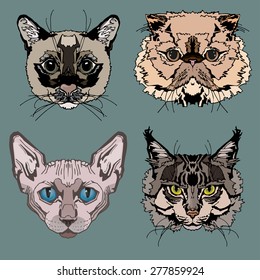 Cats portrait design set for postcards, illustration, posters, labels, stickers and other design needs. 