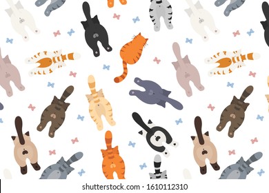 Cats poses behind. Cat`s butts. Flat design pattern. Vector illustration