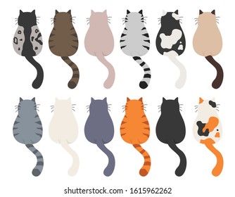 Cats poses behind. Cat`s butts. Flat design clipart. Vector illustration