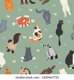 Cats poses behind. Cat`s butts. Flat design seamless pattern. Vector illustration