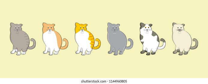 Cats are rare animals