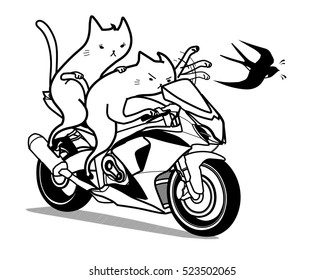 3,061 Motorcycle Cat Images, Stock Photos & Vectors | Shutterstock