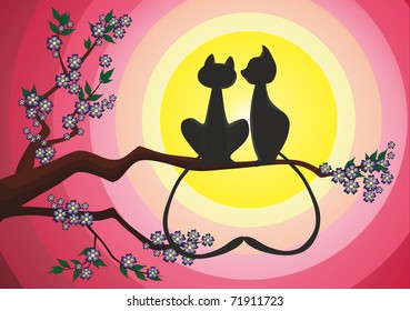 Cat's romance
