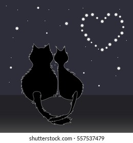 cats romantic date under the stars