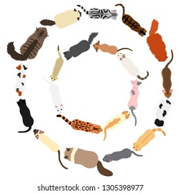cats round frame set