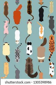 cats seamless pattern background