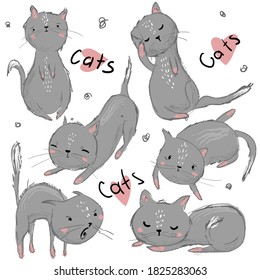 Cats. Set of grey cats. Funny cats