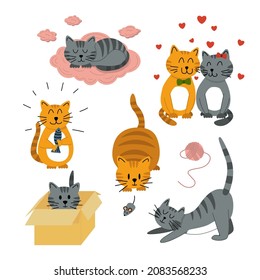 Cats set. Cats in love,  with fish, Lazy, in box, hunting the mouse, sleeping. Isolated vector stock illustration EPS 10 on white background 