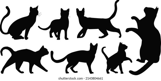 cats set silhouette, isolated on white background vector