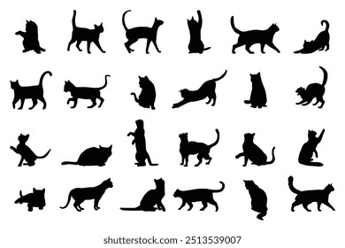 gatos definir silhueta vetor isolado
