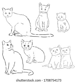 Cats set, vector illustration, hand-drawn cute fluffy cats. domestic cat set vector sketch illustration