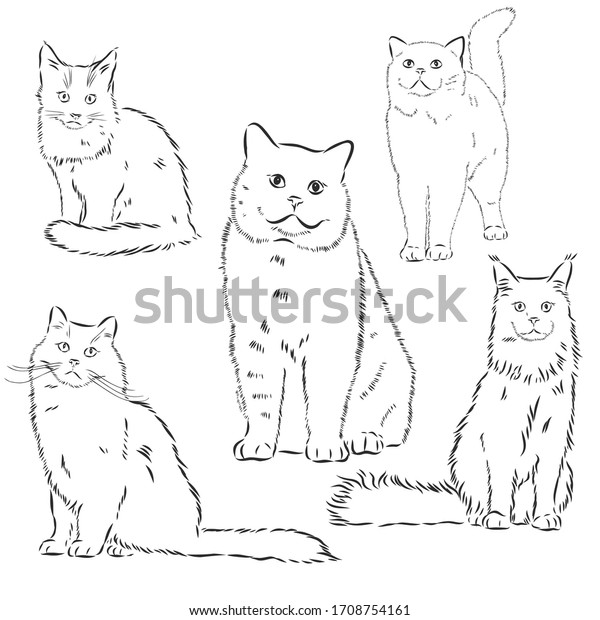 Cats Set Vector Illustration Handdrawn Cute Stock Vector (Royalty Free ...