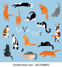 cats. a set of vector isolated images of cats. cats in different poses