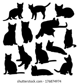 Cats silhouette