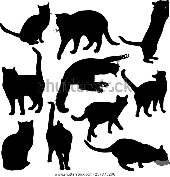 Cats Silhouette Collection Vector 1 Stock Vector (Royalty Free ...