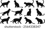 Cats Silhouette set Collections - Different Poses, Black Color, Isolated on White Background