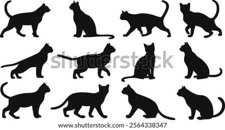 Cats Silhouette set Collections - Different Poses, Black Color, Isolated on White Background