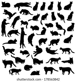 Cats silhouette set. Kitten in different pose