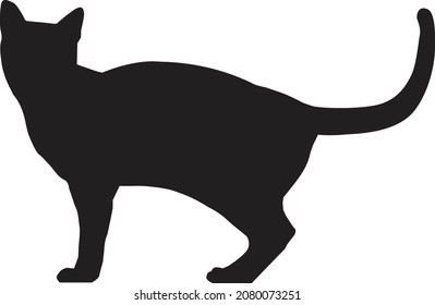 cats silhouettes on a white background. cat standing sign. flat style. 
