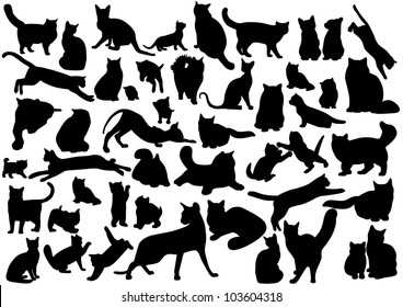 Cats silhouettes set. Vector illustration on EPS 8