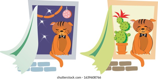 Cats sitting on the window, one is thoughtful against a dark background with stars, the other is contented against a light background with a cactus